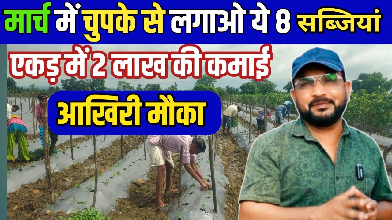 मार्च में चुपके से लगाओ ये 8 सब्जियां || March mahine Mein Lagai jaane wali sabjiyan