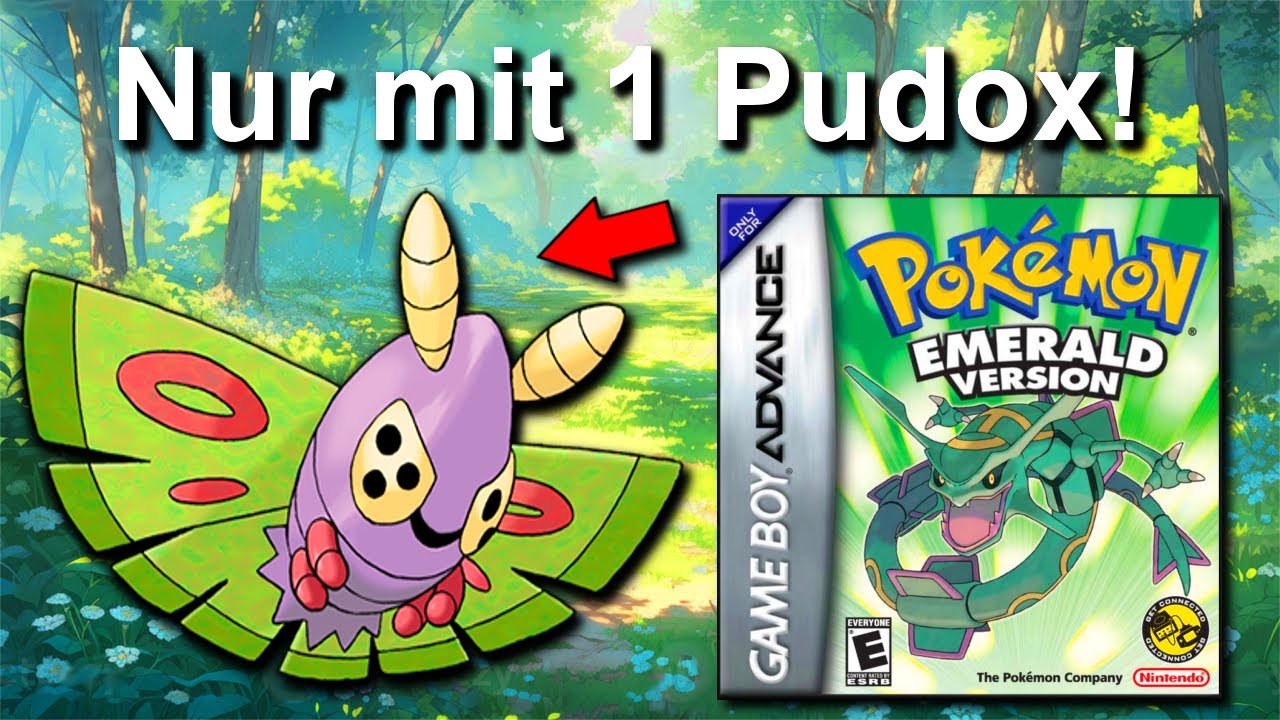 Kann man Pokemon Smaragd mit NUR einem PUDOX durchspielen? (+ möglichst wenig Level)