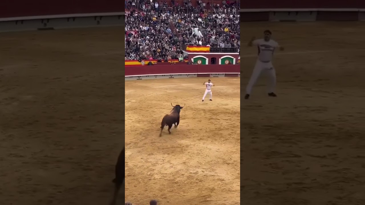 Piel de gallina, ajustadisimo recorte en la plaza de #toros