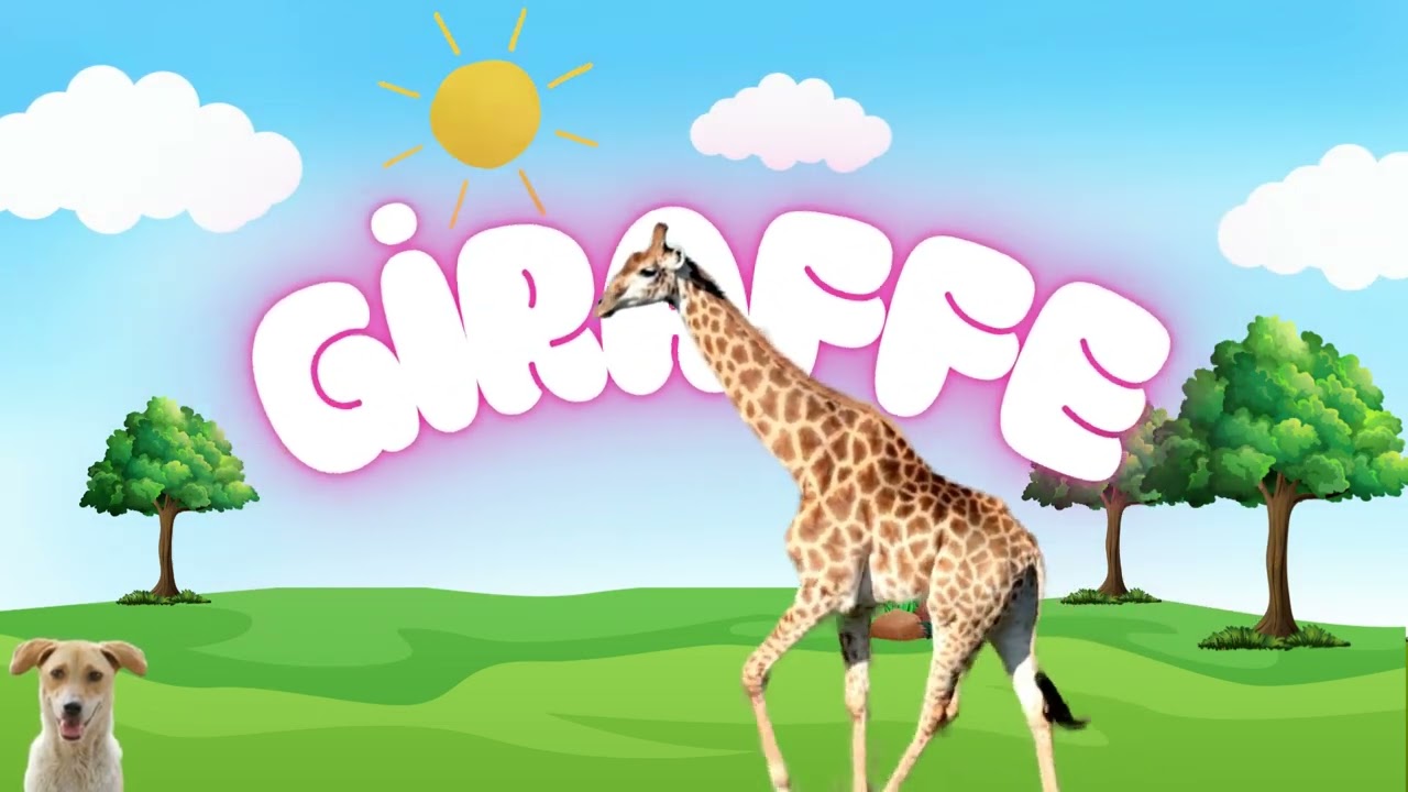 Meet Cute and Funny Animals! 🦁🐼 Kids Love It!