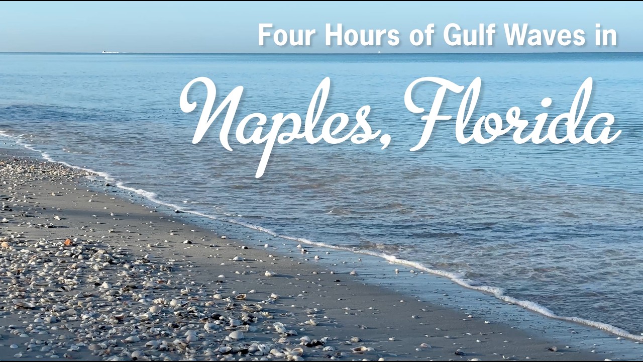Four Hours of Gulf Waves in Naples, Florida