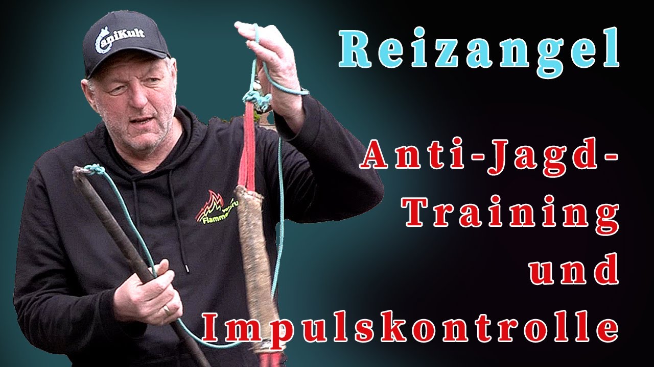 Reizangel - Anti-Jagd-Training und Impulskontrolle f&ouml;rdern