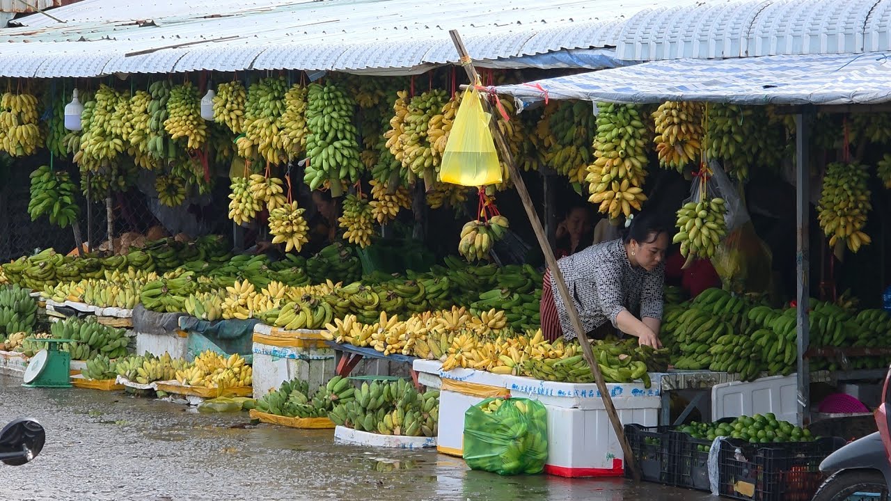 Chợ Cà Mau Việt Nam - Ca Mau Market In Vietnam 2025