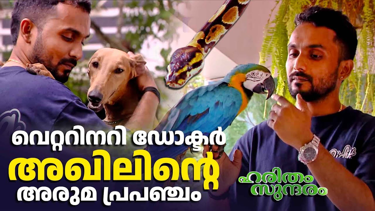 പത്മതീർത്ഥത്തിൽ പാമ്പുകൾ മുതൽ പഞ്ചവർണ്ണതത്തകൾ വരെ  | Haritham Sundaram 494