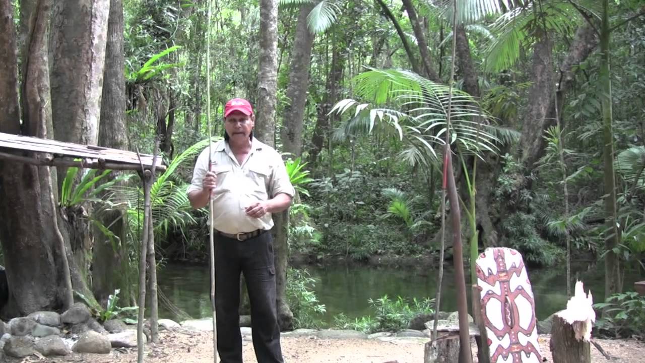 Secrets of the Daintree Rainforest Queensland Australia with Aboriginal Guide