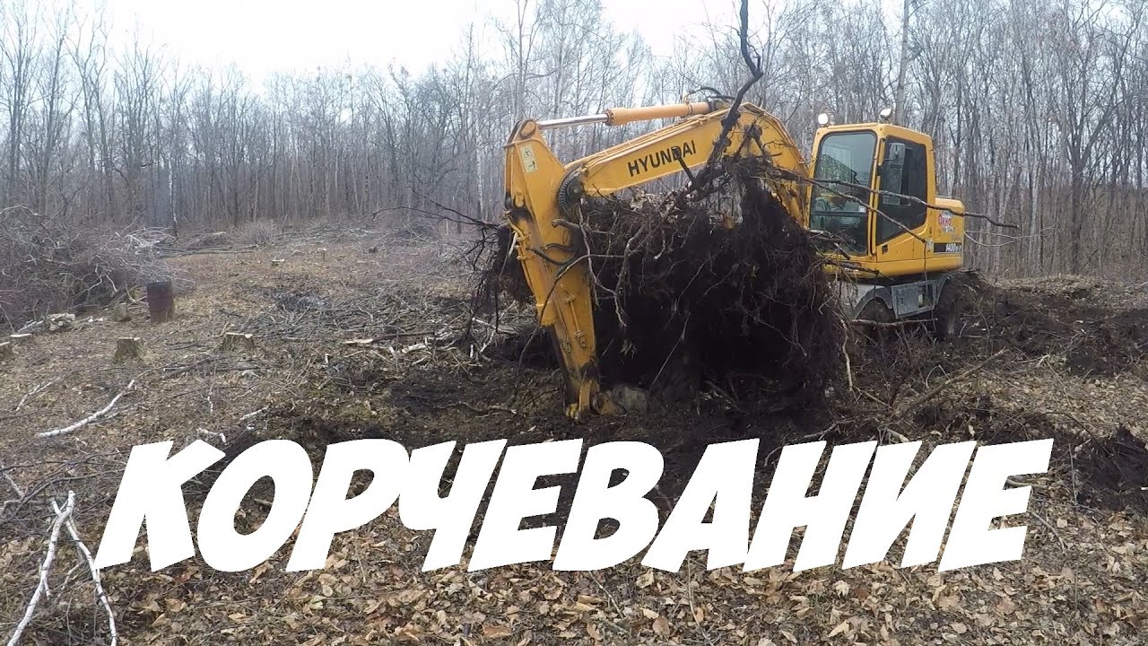 Корчевание пней на участке в лесу. Участки многодетным. Благоустройство участка с нуля. Стройка века