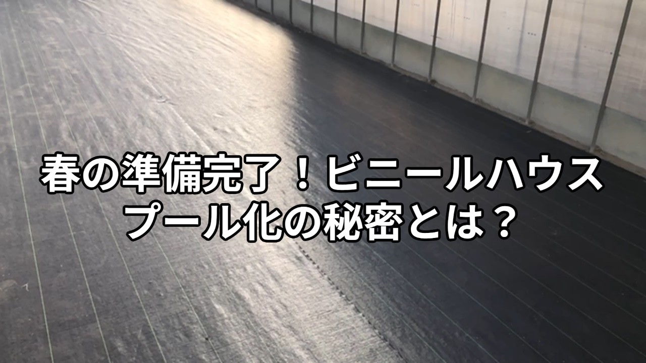 ビニールハウス（春の準備完了）