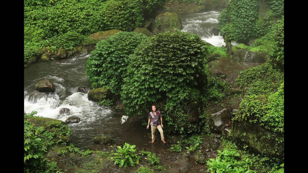 FIELD TRIP WITH PATRICK BLANC IN JAVA - BROMO TO PACITAN - INDONESIA