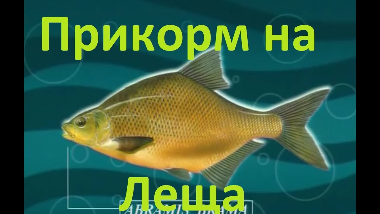 Диалоги о рыбалке - 9 - Ловим леща в разных условиях,правило прикорма.