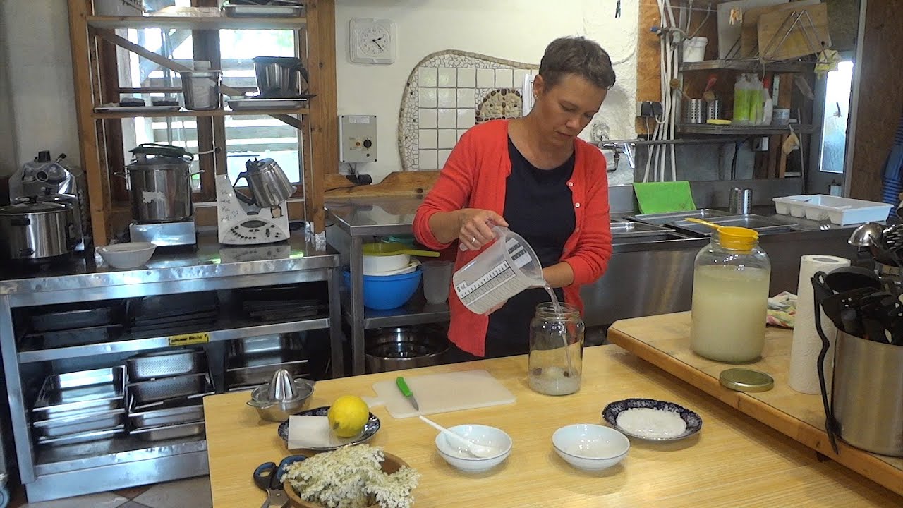 Wasserkefir selbst gemacht - Tutorial