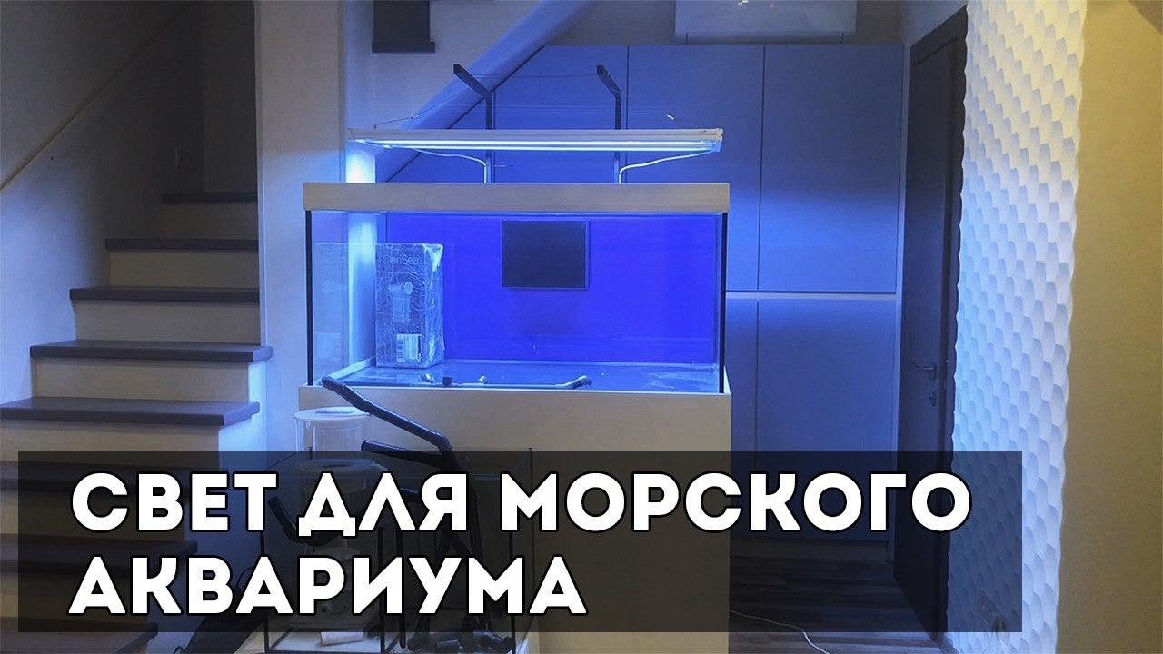 Свет для морского аквариума.
