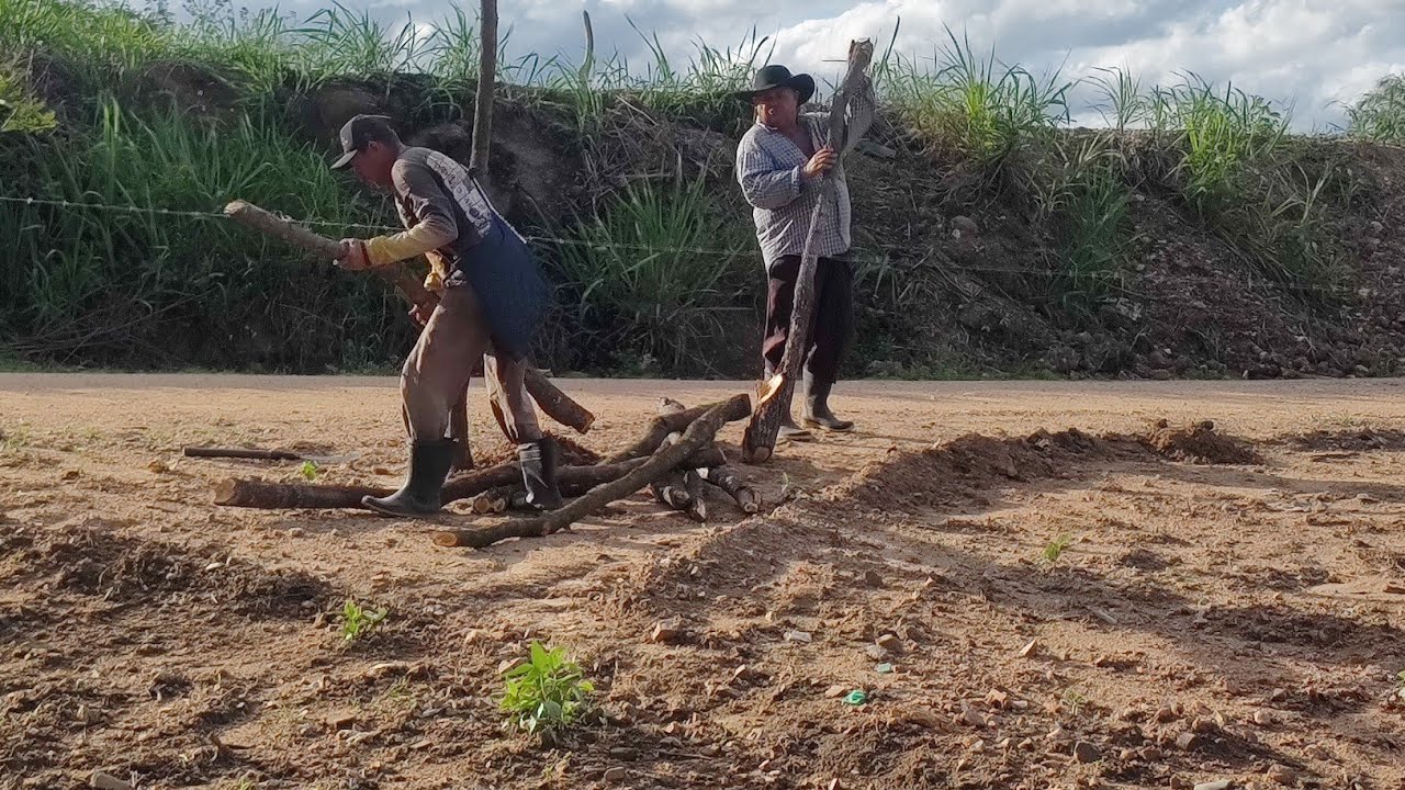 SEU, Zezinho,e primo Galego, fazendo a serca pra proteger a plantação de milho 