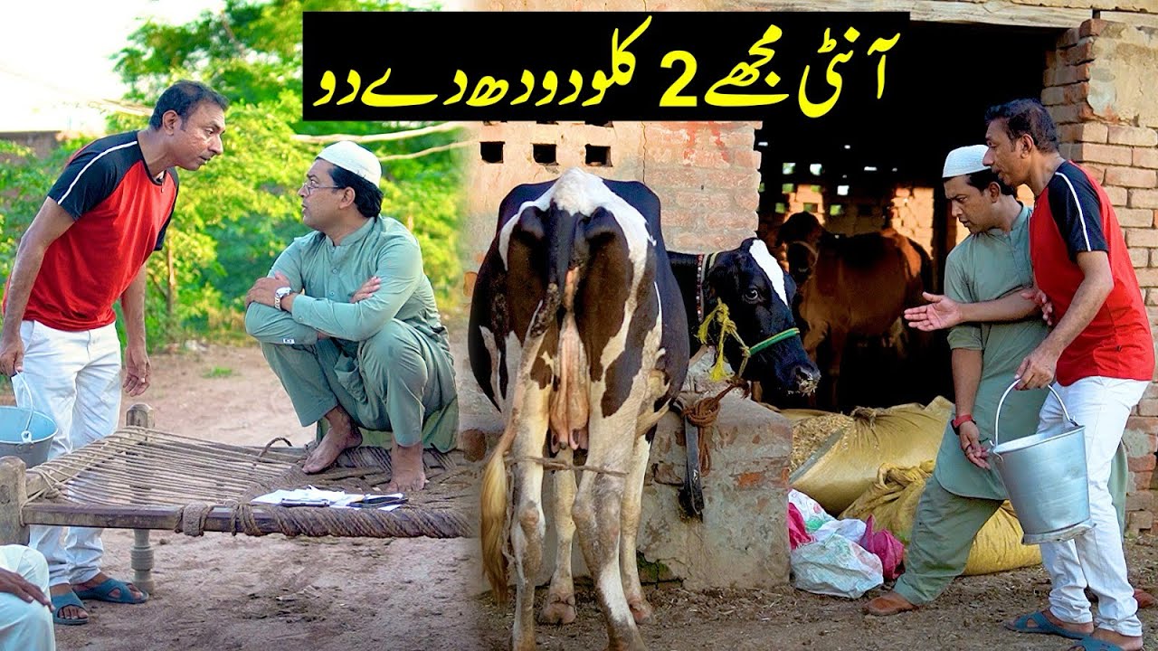 Rashid Kamal & Fareed Sabri New Comedy Video