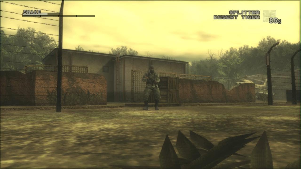 Snake Eater: Guess I'm seeing things...