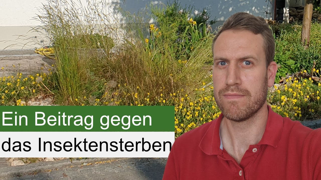 Der Vorgarten der Zukunft - insektenfreundlich, klimafest und pflegeleicht!