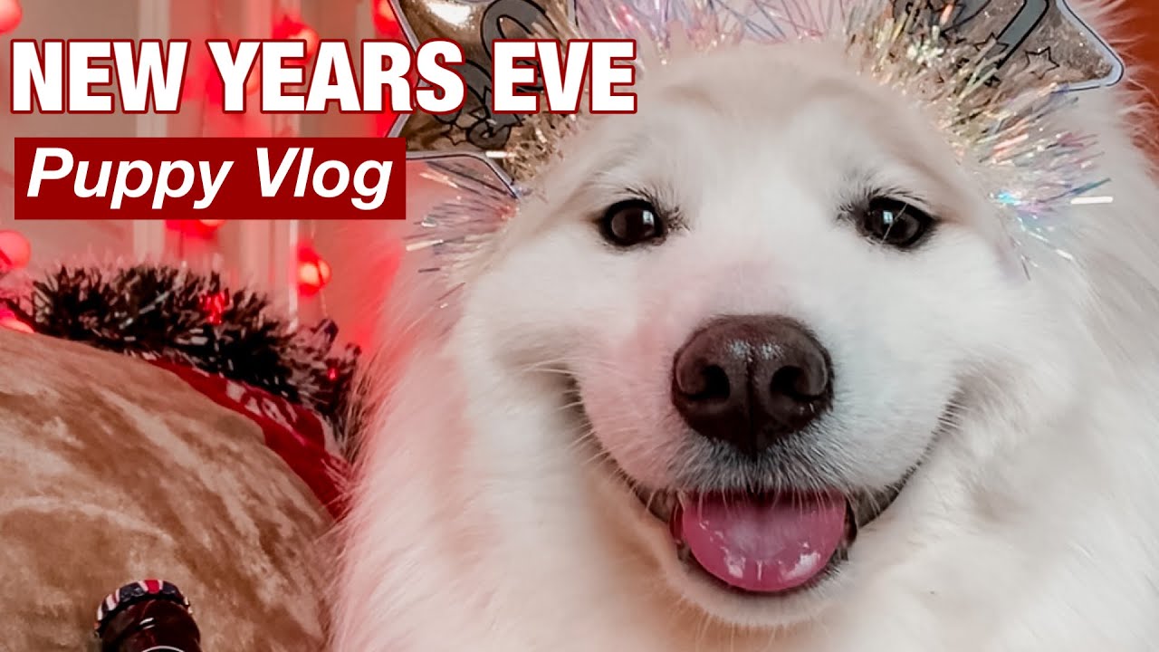 VLOG II New Years Eve