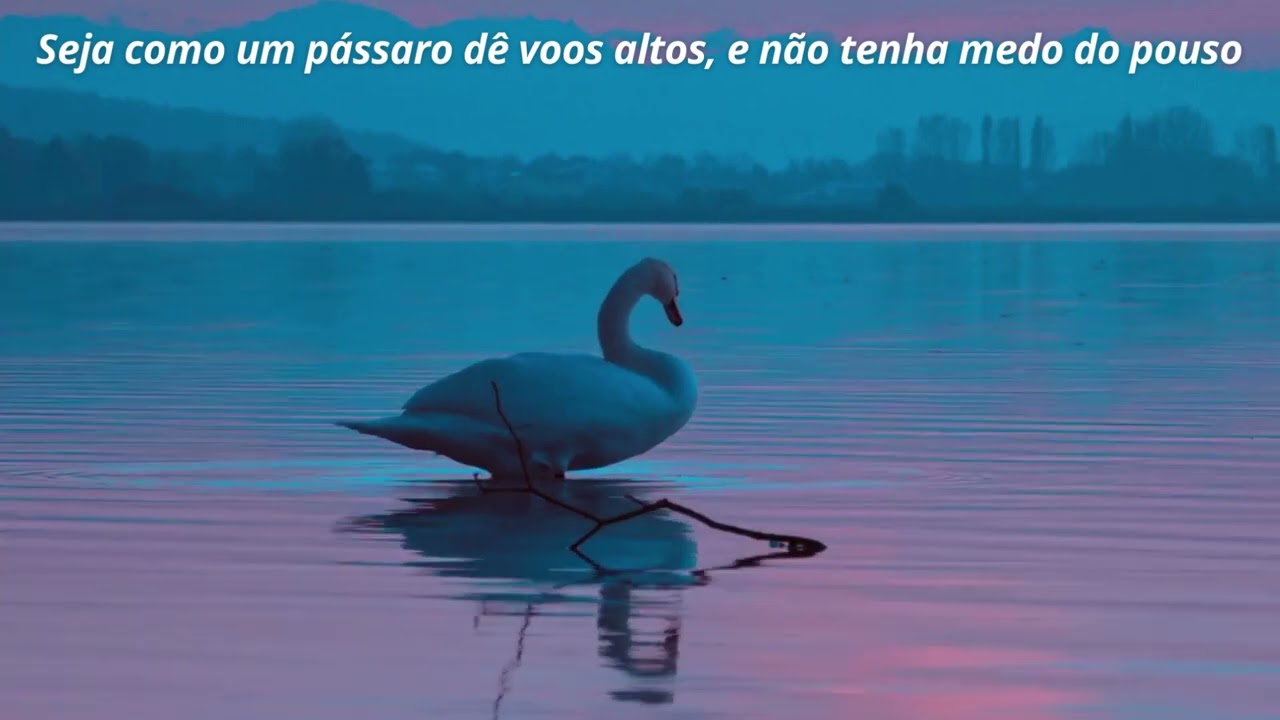 Lindo v&iacute;deo motivacional (para refletir)