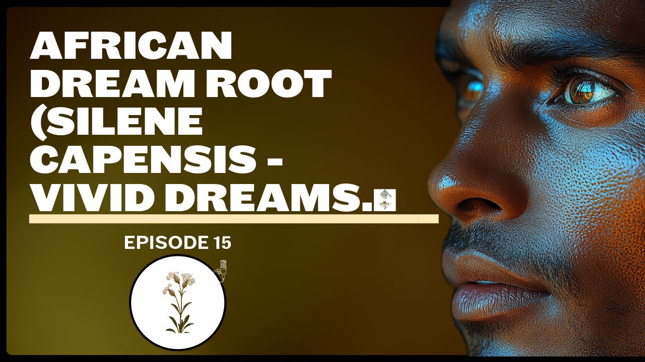 African Dream Root (Silene Capensis): Vivid Dreams, Ancestral Connection & How To Use It