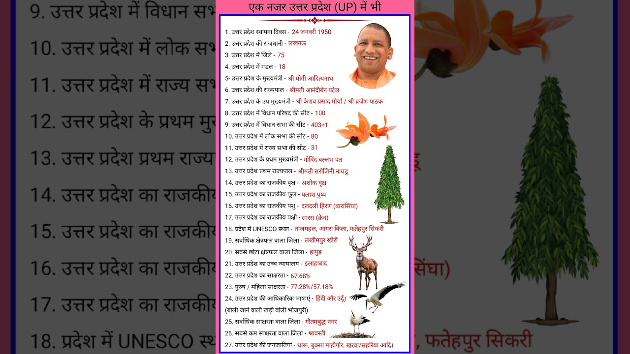एक नजर उत्तर प्रदेश (UP) में भी ... | 2024 UP special | एक ही झलक में संपूर्ण #shorts