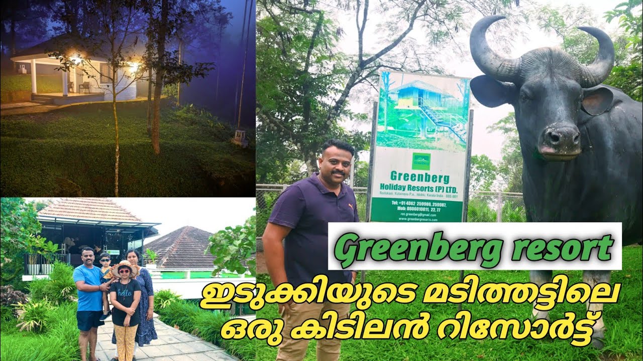 ഇടുക്കിയുടെ പ്രകൃതി സൗന്ദര്യം ആസ്വദിച്ചുകൊണ്ട് ഒരു ദിവസം  #greenberg resort #dreamtraveltaste