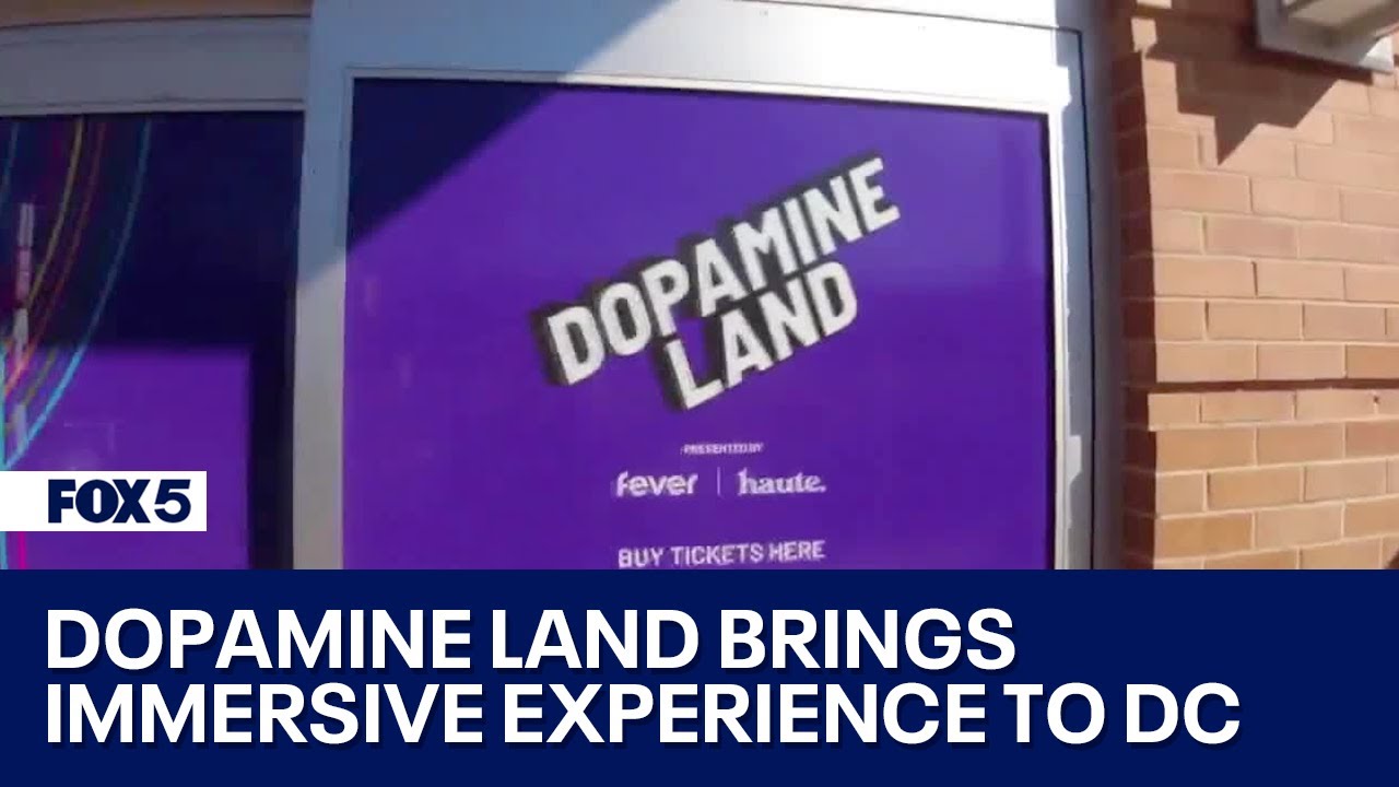 Dopamine Land brings immersive experience to DC