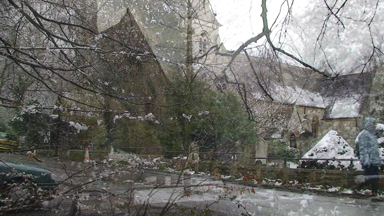 EPPING FOREST and HIGH BEACH.  Video Postcard 45.