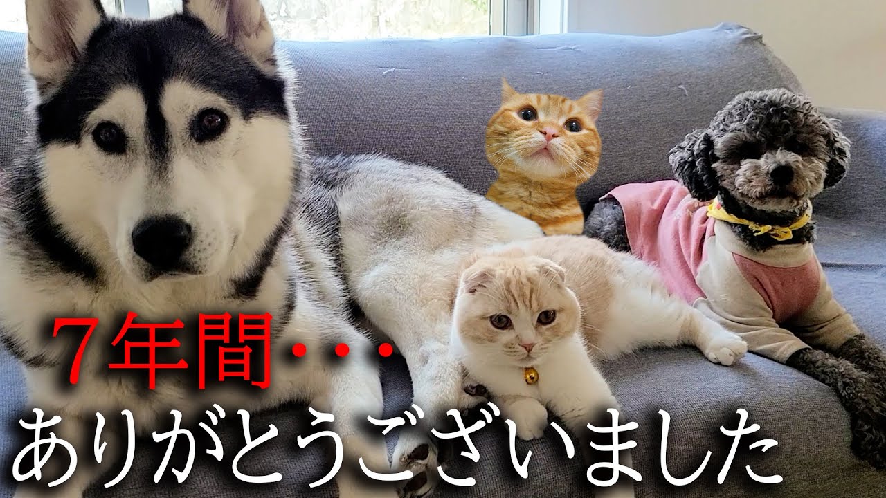 【ご報告】みなさま7年間ありがとうございました...