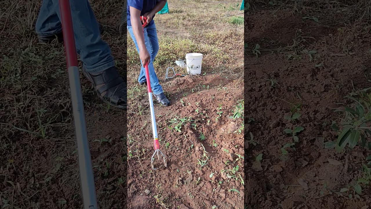 WOLF Garten Tools. WOLF Garten Ridger, Bow Rakes, Tine Cultivators, Weed Pen Tools Review in India.