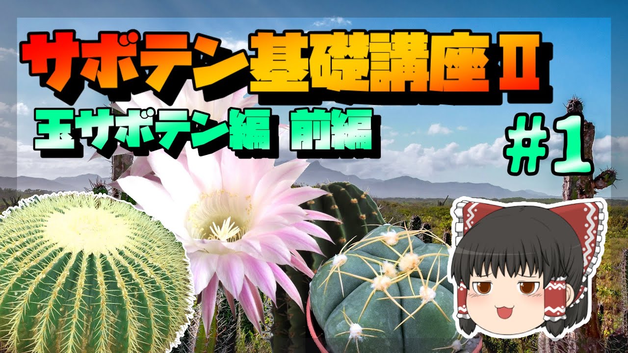 【ゆっくり解説】サボテン基礎講座Ⅱ　玉サボテン編・前編【リメイク】
