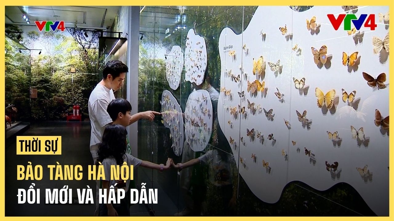 Bảo tàng Hà Nội - Đổi mới và hấp dẫn | VTV4