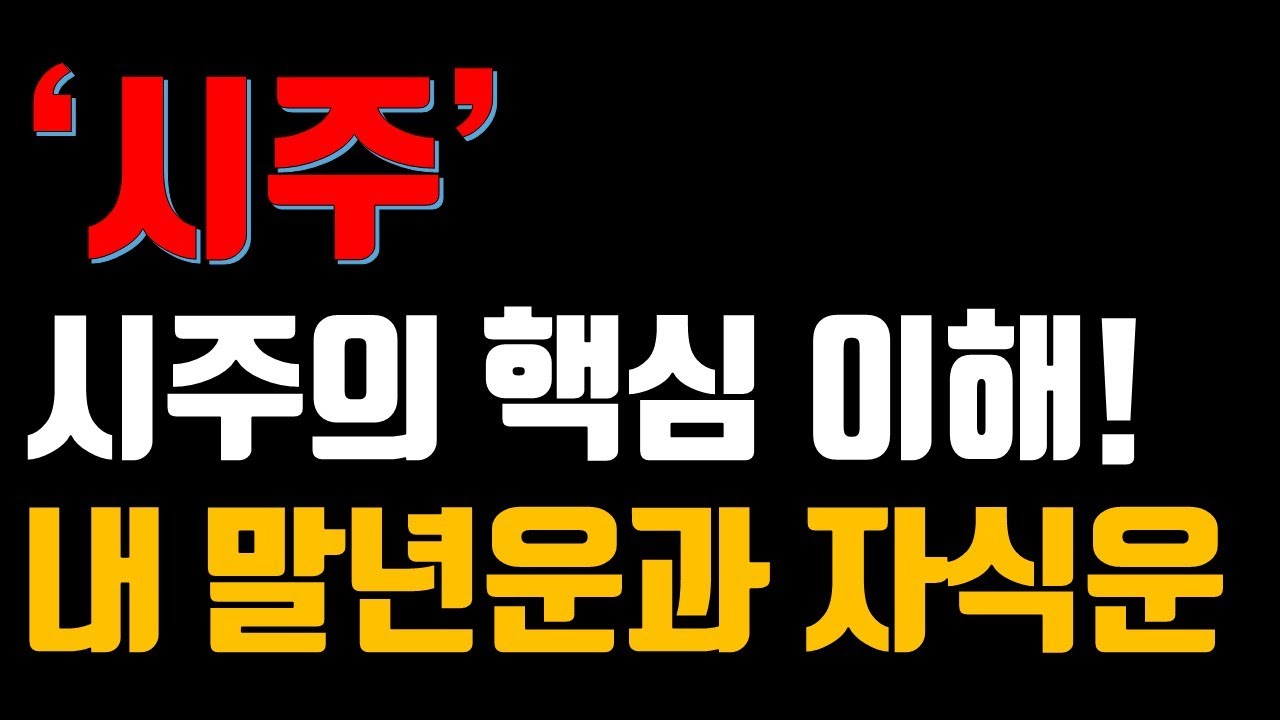 시주의 핵심 이해 나의 말년운 자식운?