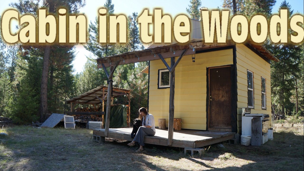 Our Tiny Cabin in the Woods - 12x16 Tiny House