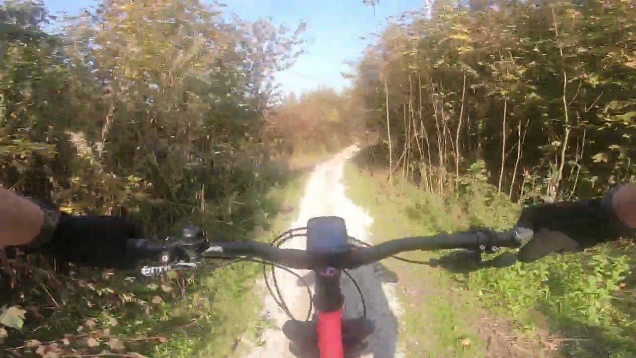 Volledige ronde MTB route Bentwoud - Hildam