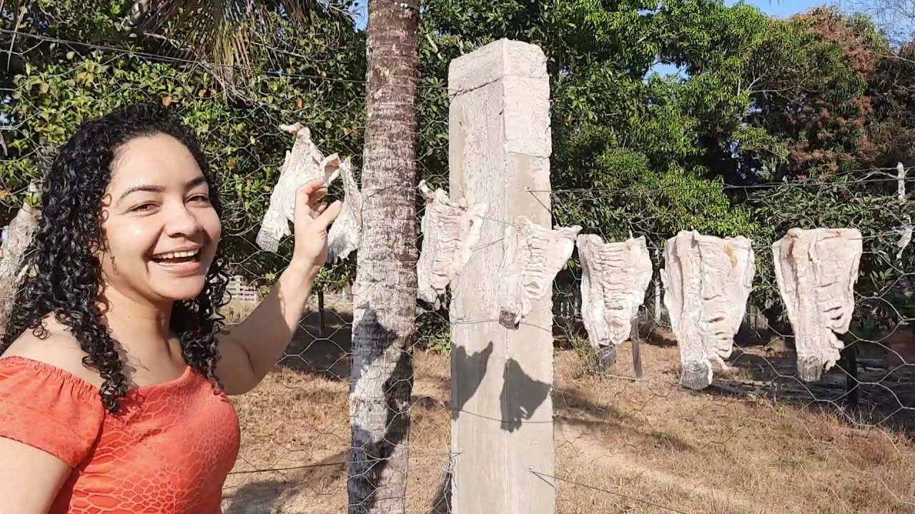 PEIXE SECO! VEJA O RESULTADO PARTE 2 ! ALIANE ALMEIDA