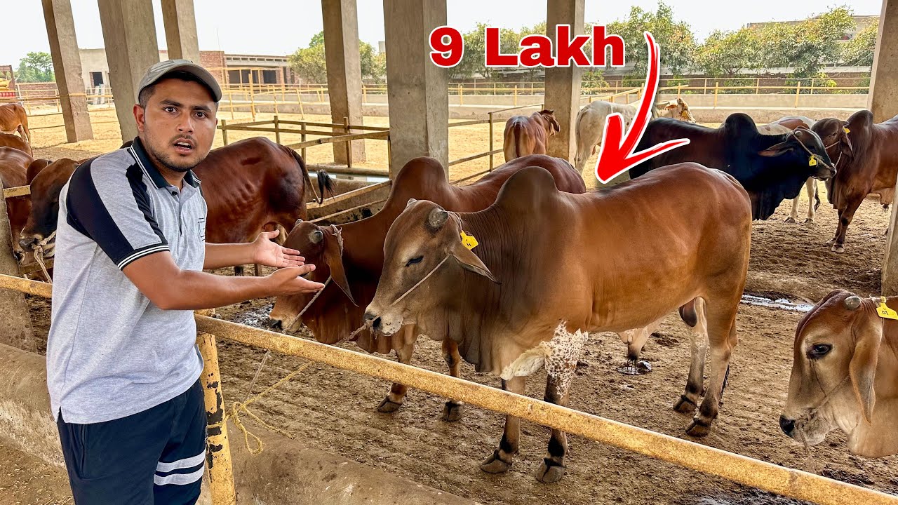 Soda Nahin Bana Sara Din Zaleel Ho Gaye 😢