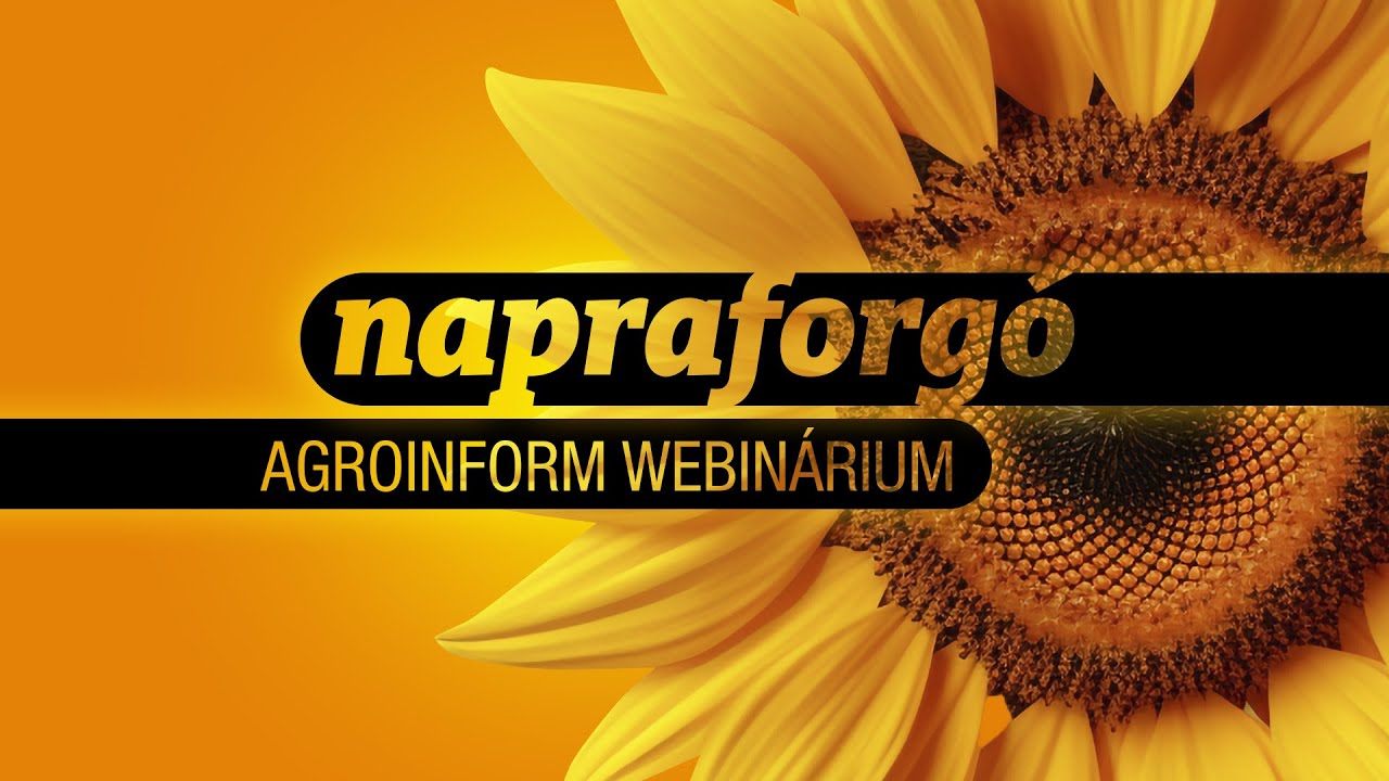 Napraforgó - Agroinform webinárium
