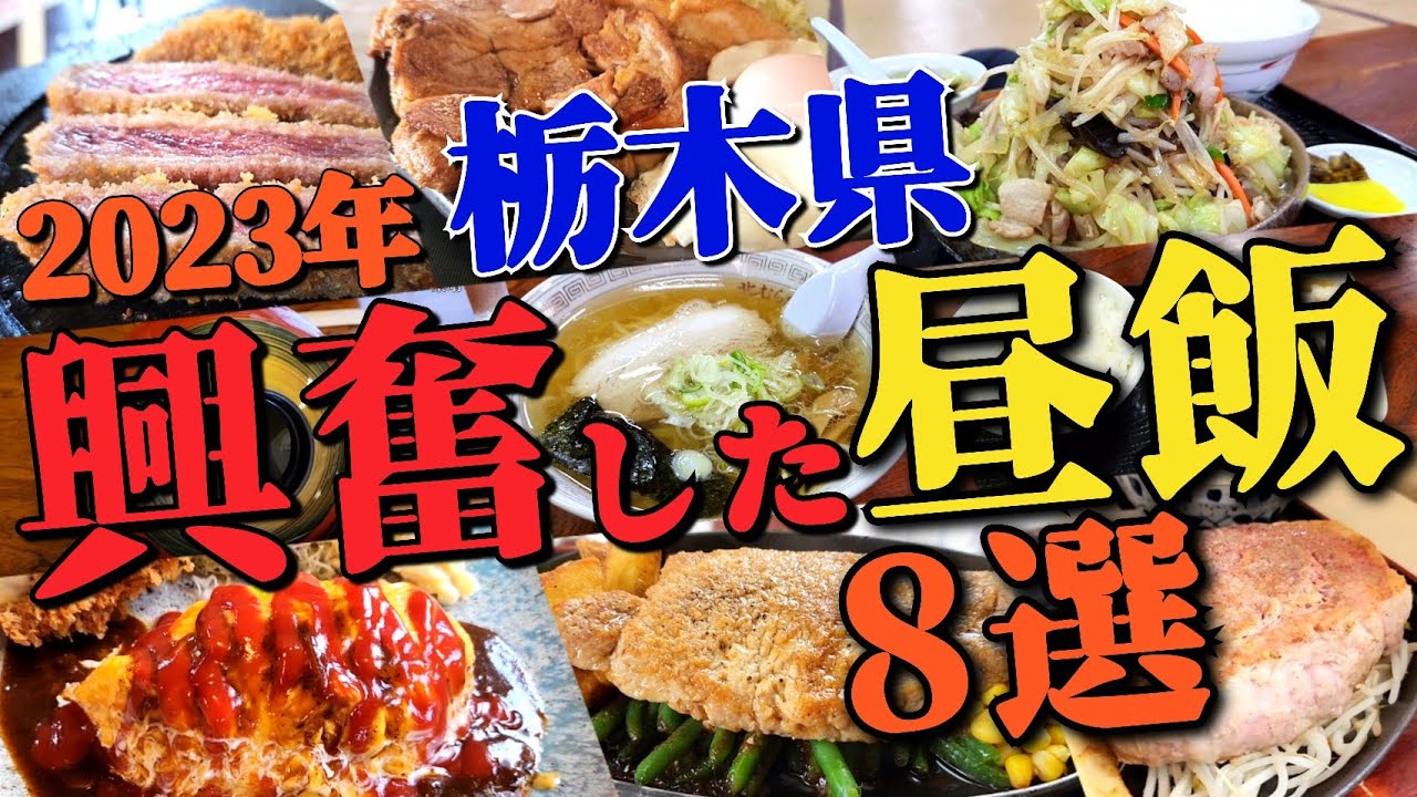 必見!!【2023年 栃木県 興奮した昼飯】コスパ・クオリティのバランスに納得したお店8選のダイジェスト!!