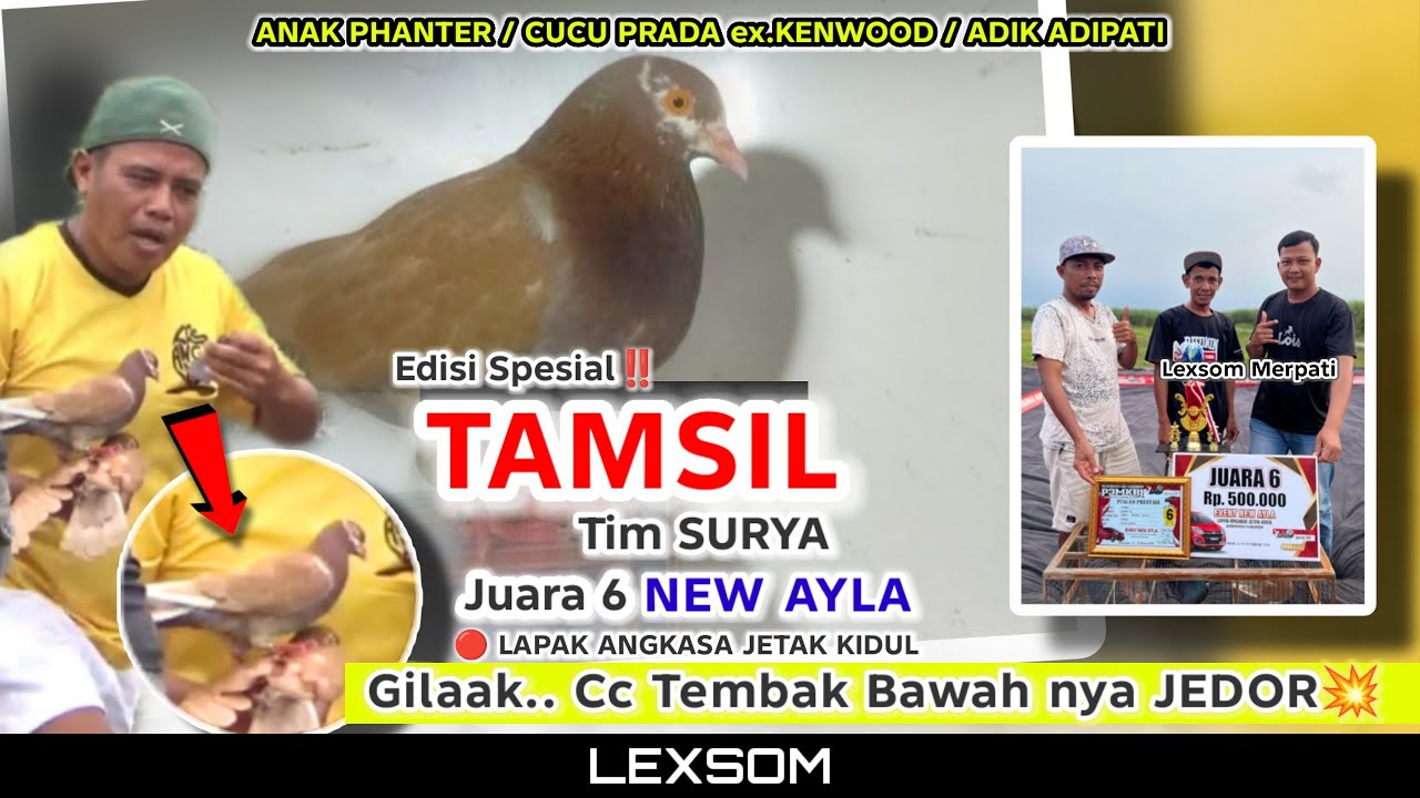🔴 Edisi Spesial; 8 Shoot 'TAMSIL tim SURYA Juara 6 NEW AYLA LAPAK ANGKASA JETAK KIDUL PEKALONGAN