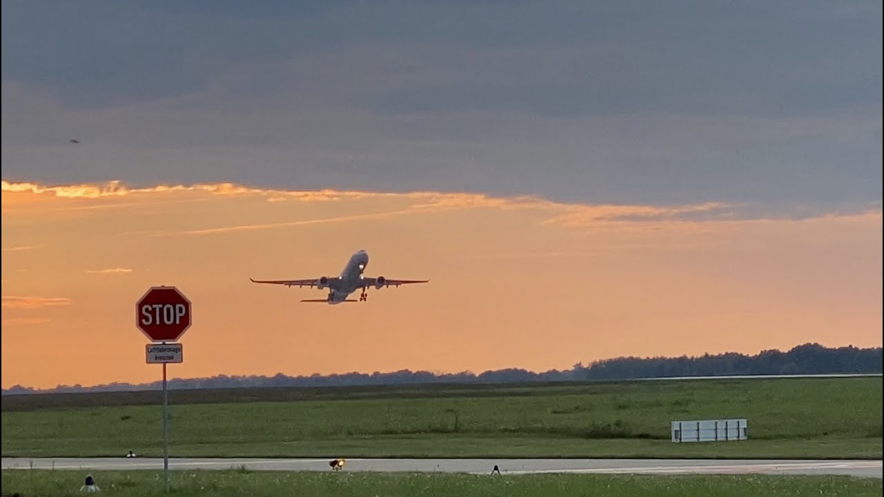 Planespotting Hannover (HAJ) incl. TK A332 & A333 (August 2021) | Part 5