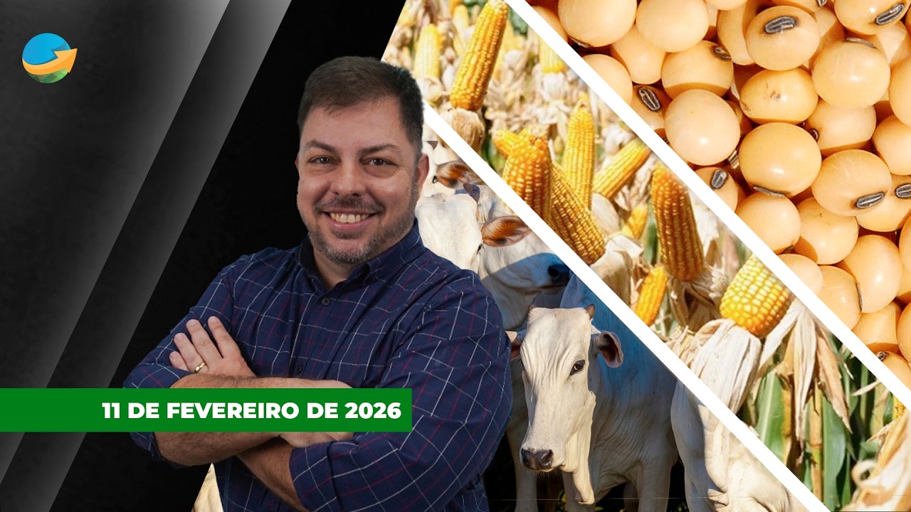 Belo Horizonte, Goiânia e Cuiabá,  além das praças paulistas, renovam altas para arroba do boi;...