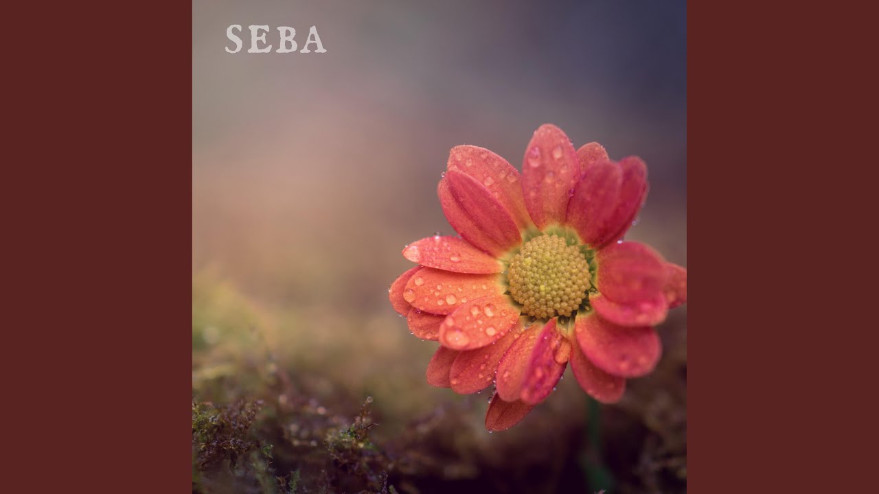 Seba