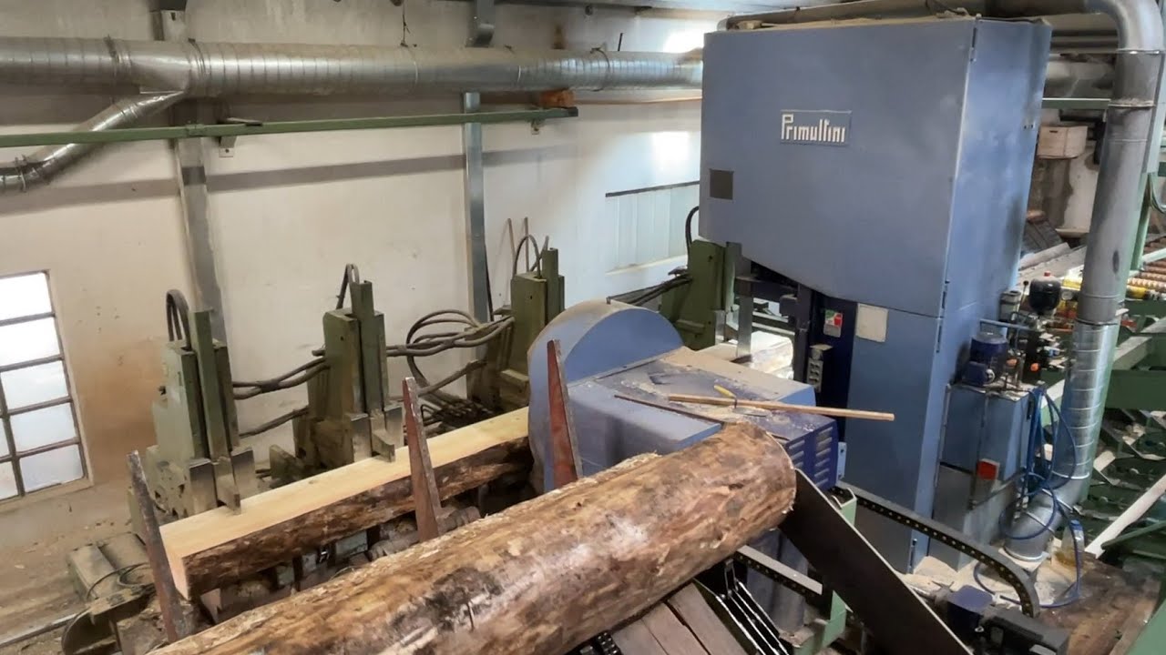 Diba Machinehandel l Primultini log bandsaw line SHF 1400 WSF CEE