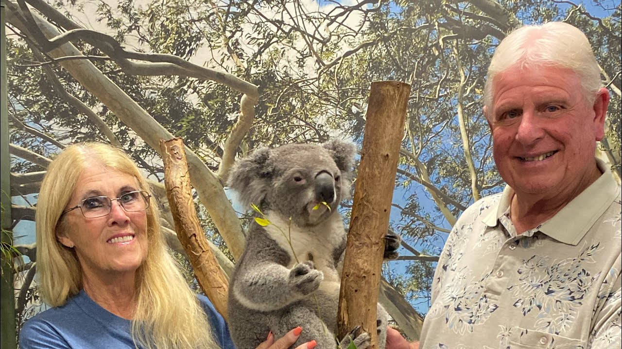 Beautiful Sydney sites, Featherdale Wildlife Park and more