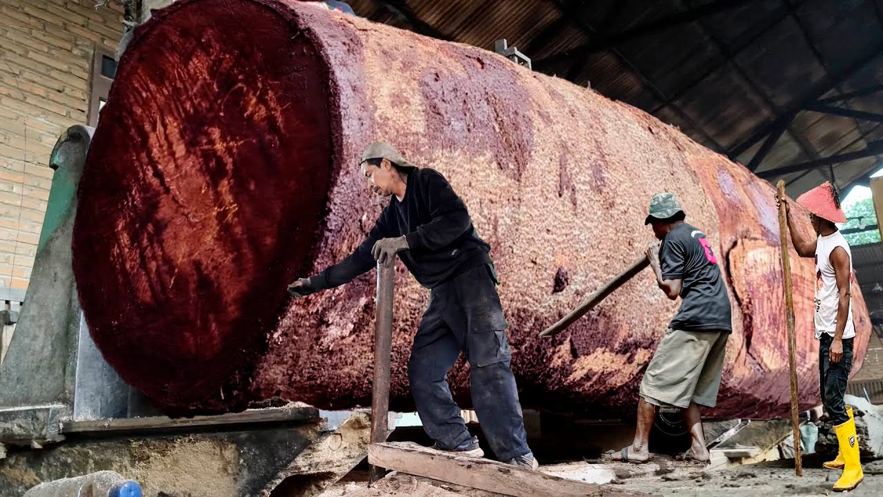 Drama penggergajian kayu durian angker I sawmill