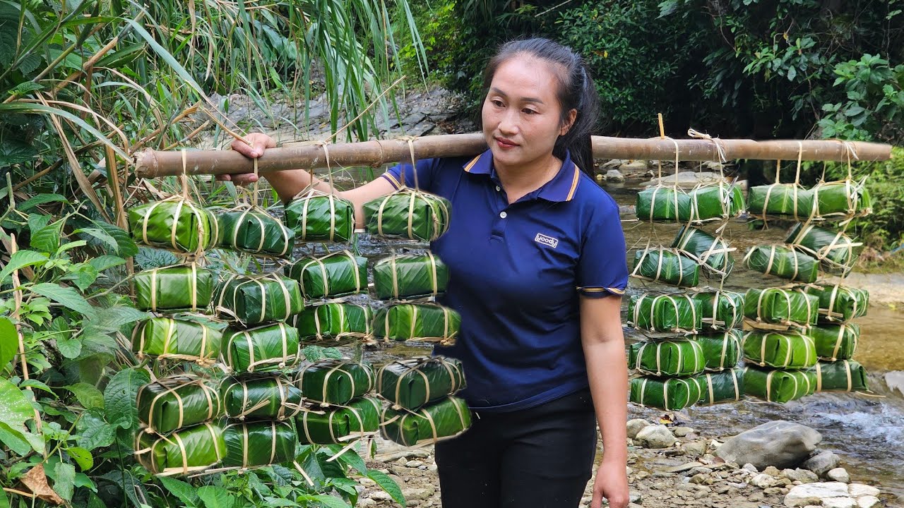 Traditional Vietnamese Banh Chung, Secret To Preserving The Flavor Of The Mountain People To Sell.