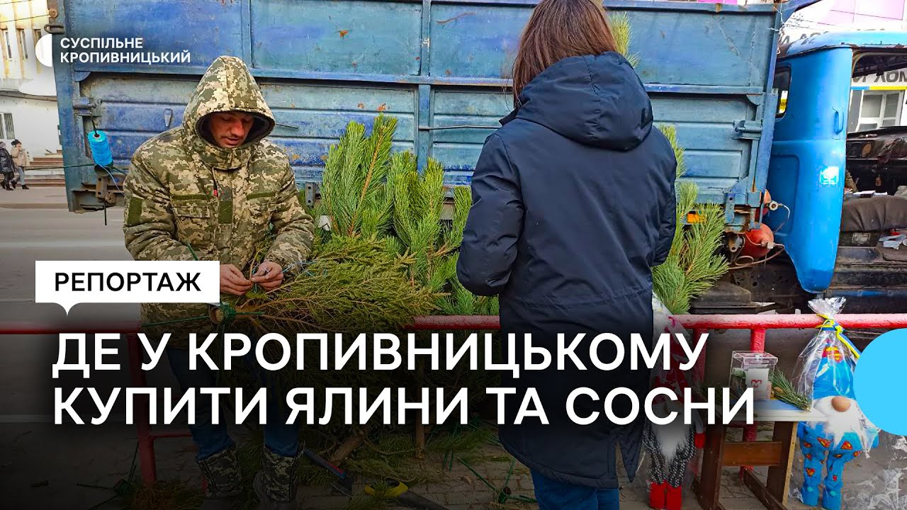 Продаж ялин та сосен у Кропивницькому: які ціни цьогоріч і чи є попит