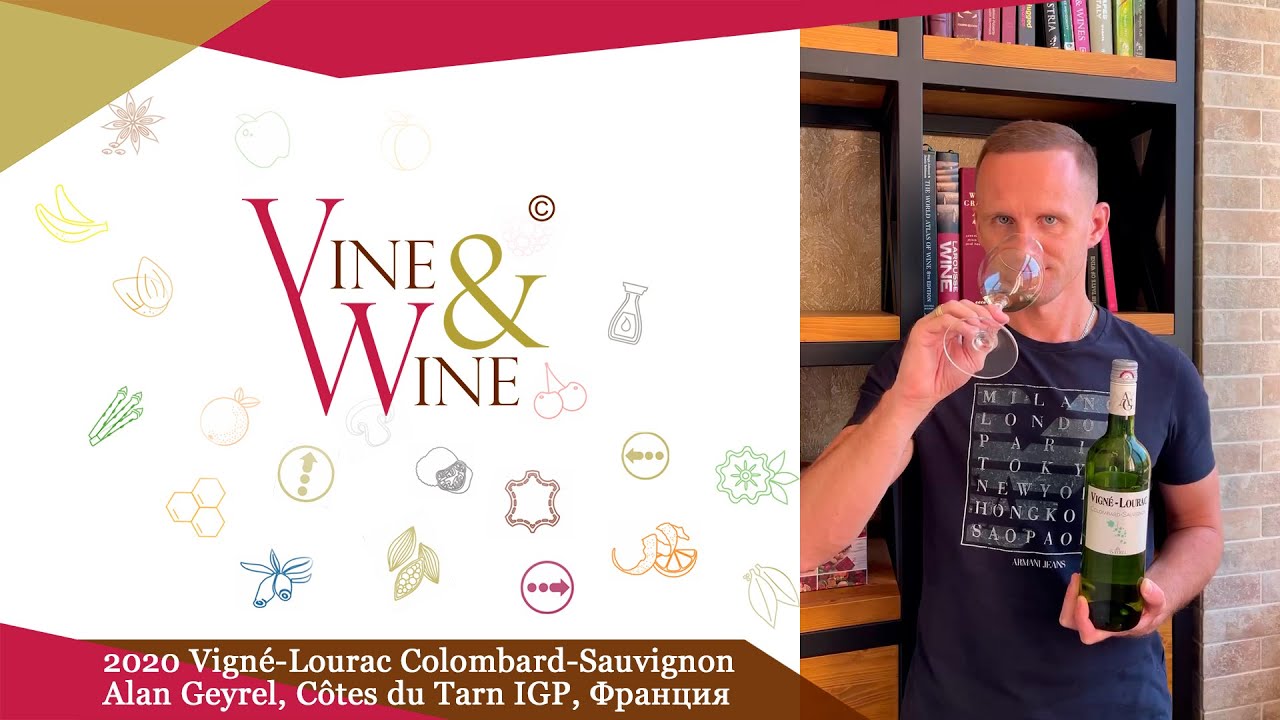 Дегустация вина 2020 Vign&eacute;-Lourac Colombard-Sauvignon, Alan Geyrel, C&ocirc;tes du Tarn IGP, Франция