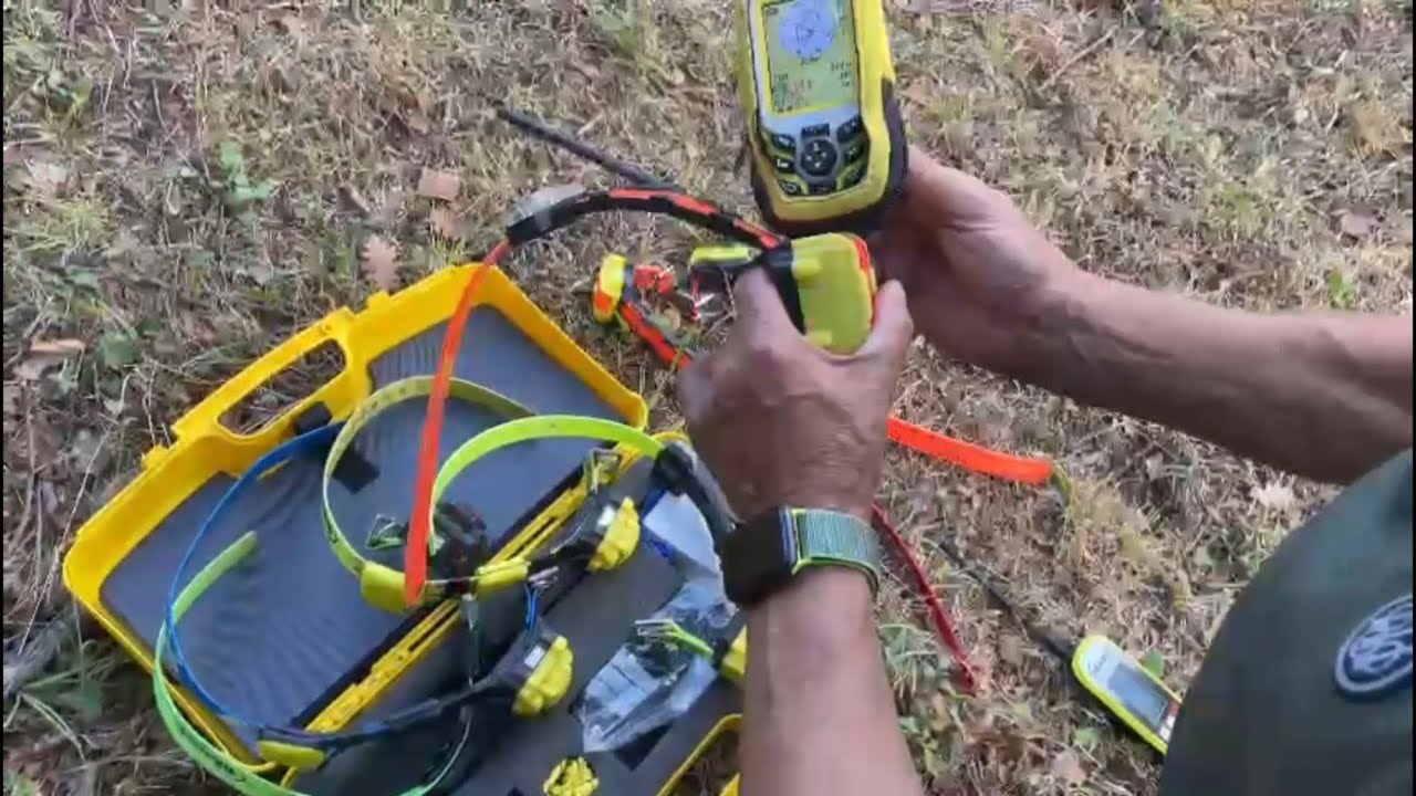 Accensione e collegamento collari  al palmare Bitrabi