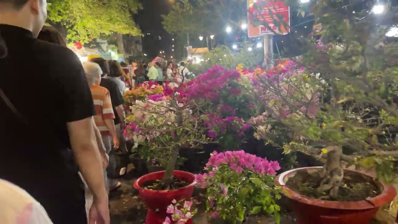 Tết 2026