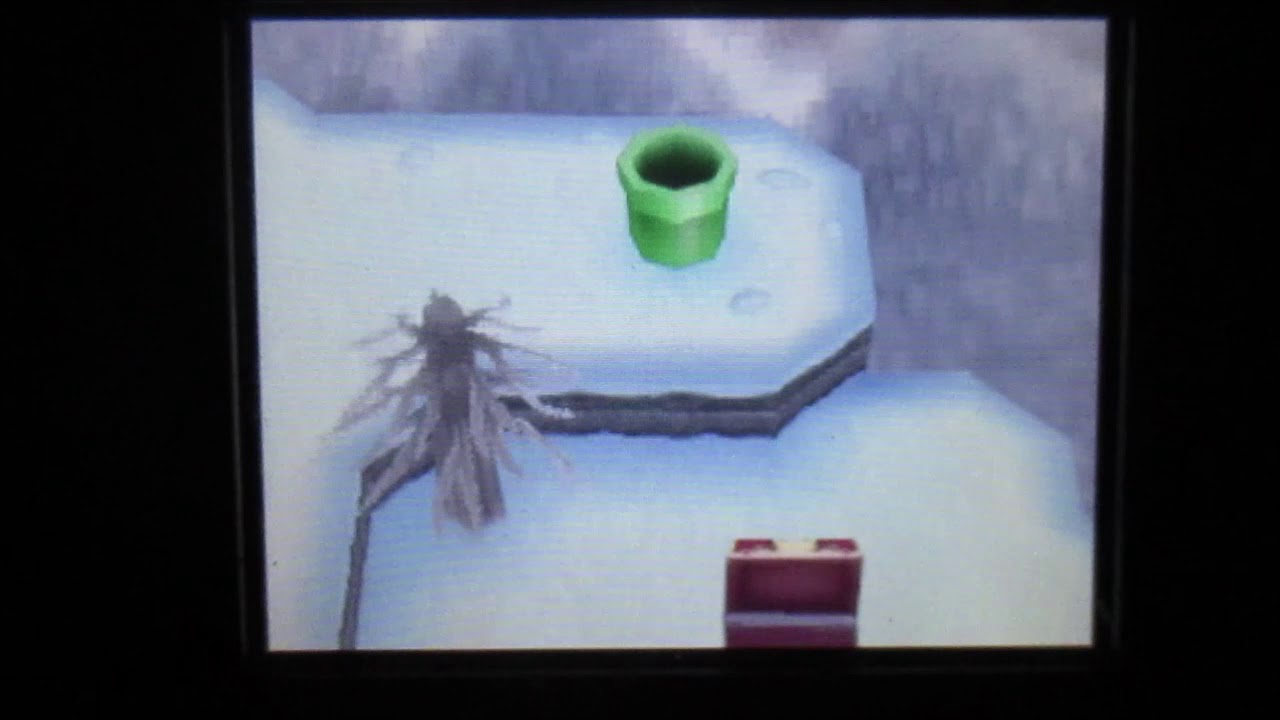 Mario & Sonic at the olympic Wintergames DS Icepeak all Whitestones
